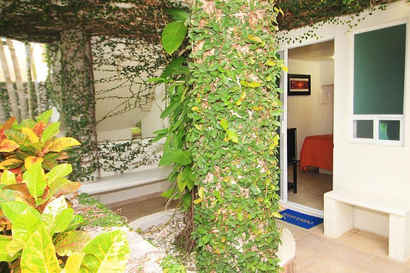 Bon Jesus Hotel La Vigueta 외부 사진